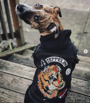 Denim Dog Jacket, Tiger Head Back Patch, Tiger patch, Tiger embroidered patch, Tiger Tattoo