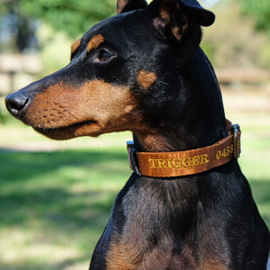 Australia dog collar with embroidered name, personalised dog collar
