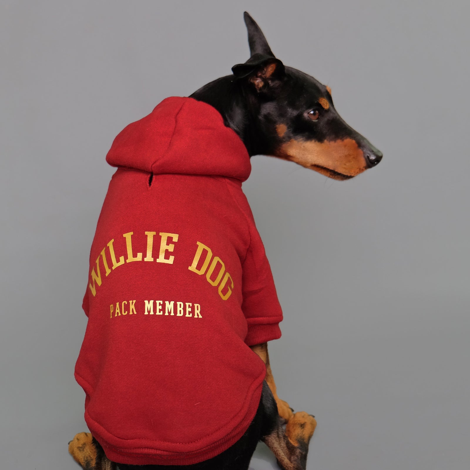 Personalised dog hoodie designed in Australia by Pethaus - Designer dog hoodies - Custom dog hoodies