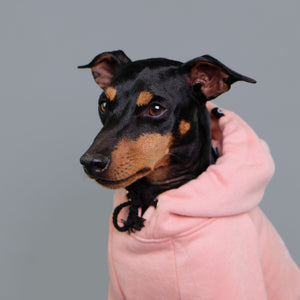 designer pink dog hoodie by Pethaus Australia