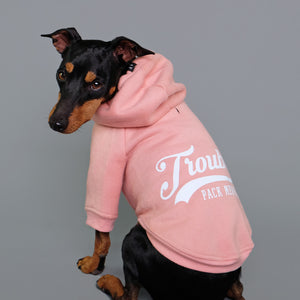 Cool designer dog hoodie by Pethaus Australia