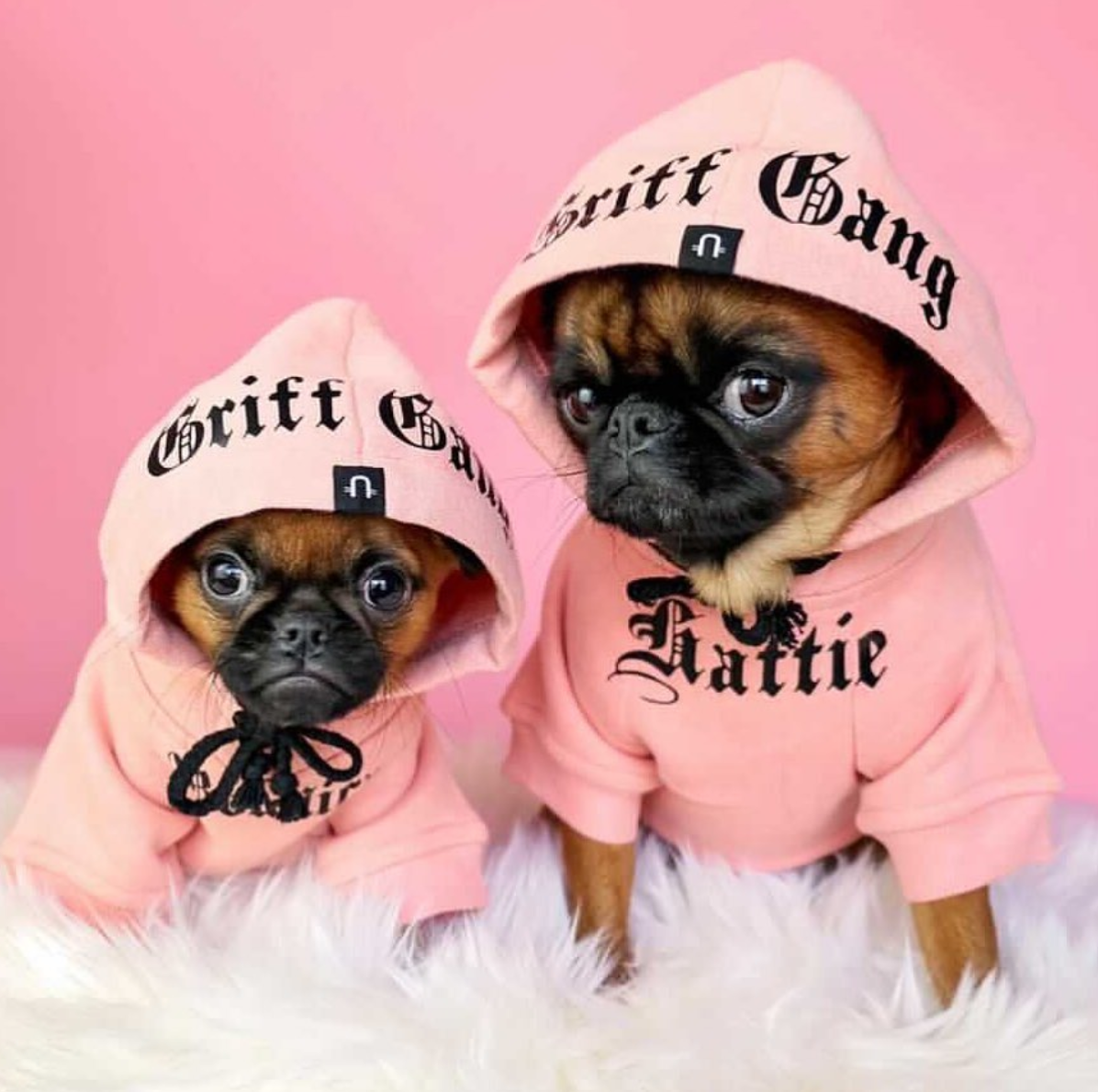 Gangsta Yapper Dog Hoodie Personalised