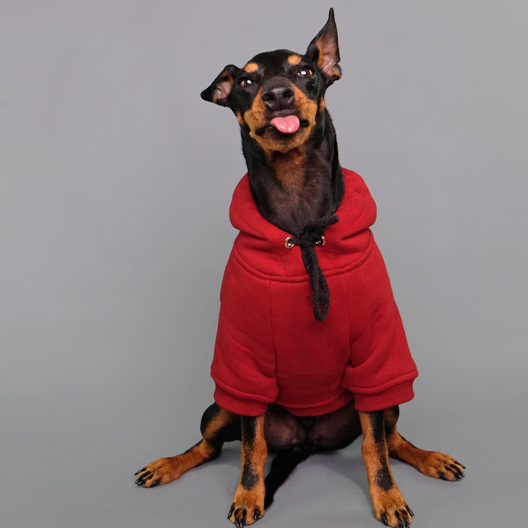 Red dog hoodie Australia by Pethaus