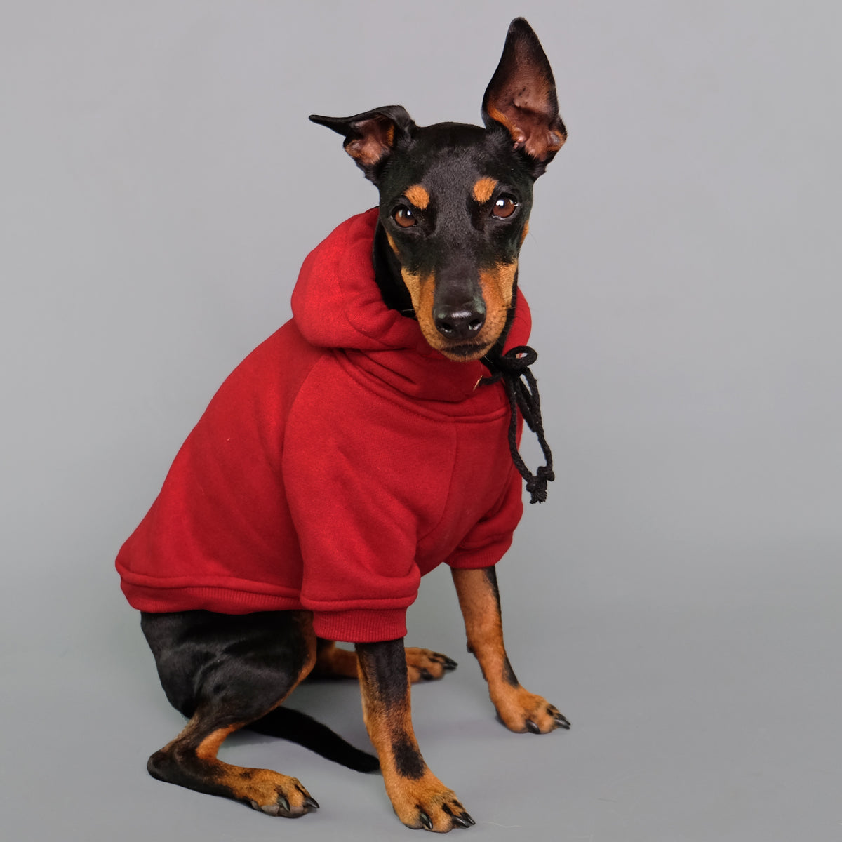 Red dog hoodie Australia by Pethaus