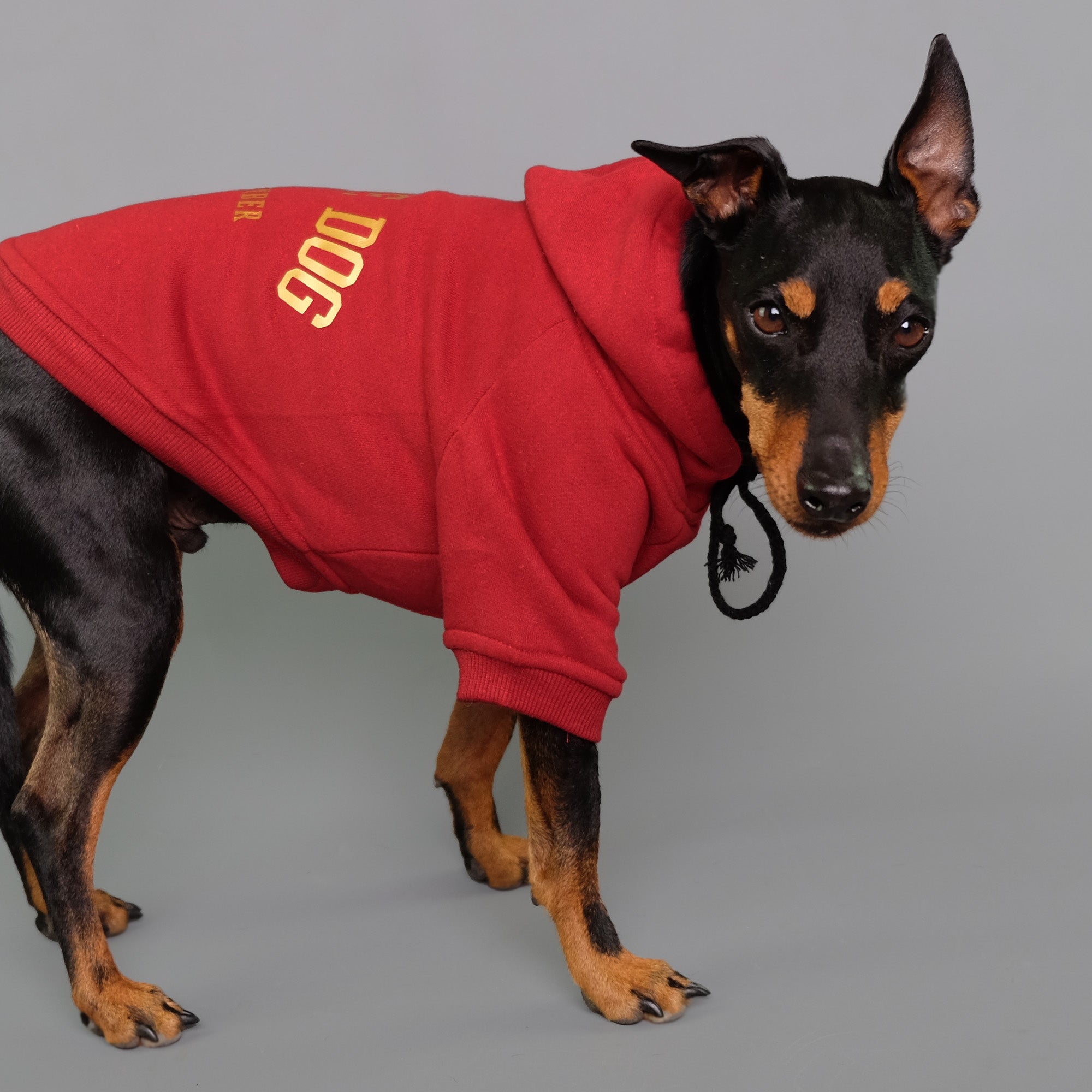 Liverpool dog hoodie best sale