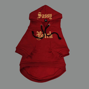 Red dog hoodie with personalisation by Pethaus Australia