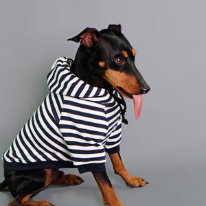 striped dog hoodie, Navy and white dog hoodie by Pethaus