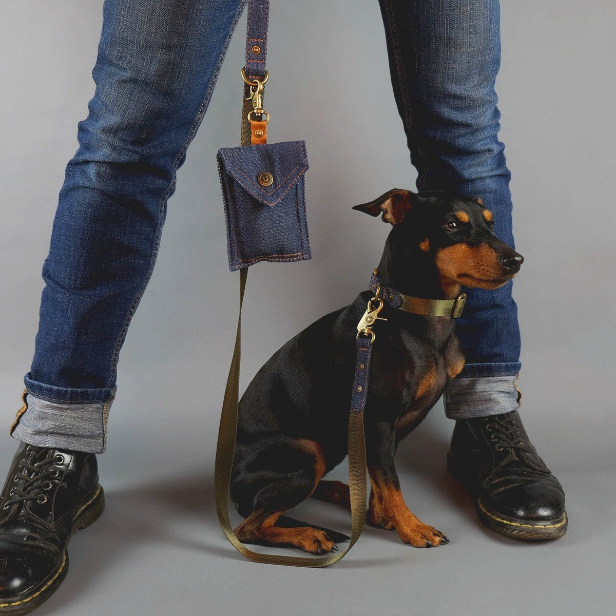 denim dog collar, denim dog leash, denim dog lead, designer dog collar, designer dog lead, dog poop bag holder, Australian dog collar and leash, designer dog walk wear, english toy terrier, denim dog harness