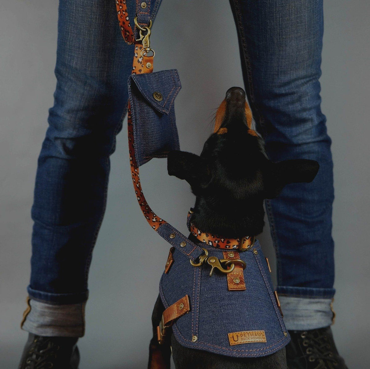 denim dog harness, denim dog collar, denim dog leash, dog collar and leash set, pethaus, designer dog harness, designer dog collar, designer dog leash, Australian dog harness, Australian dog collar, Australian dog leash, denim dog poop bag holder,dog tag 
